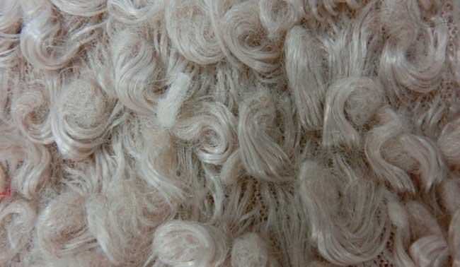 点燃棉花纤维和羊毛后所闻到的气味为什么不同呢