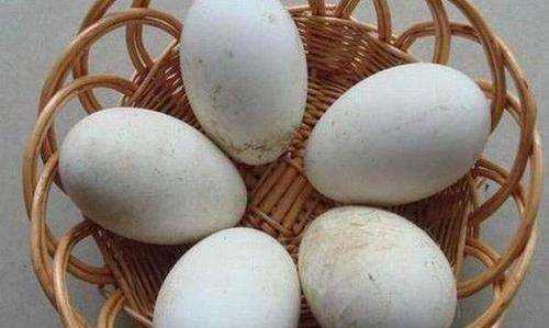 鹅蛋可以冰箱冷藏保存多久,鹅蛋能放多久图1