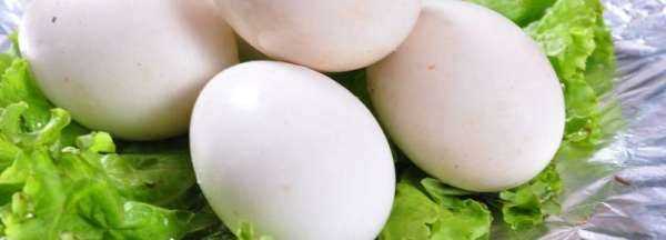 鹅蛋可以冰箱冷藏保存多久,鹅蛋能放多久图3