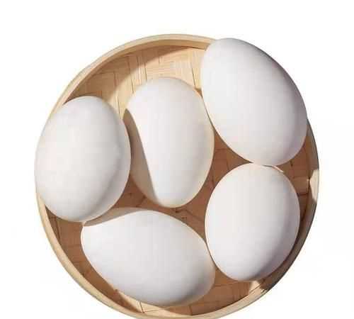 鹅蛋放冰箱保鲜能保存多久