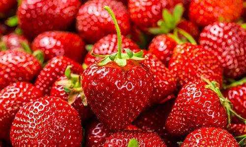 草莓蒂能吃,草莓蒂是哪部分组成的图5