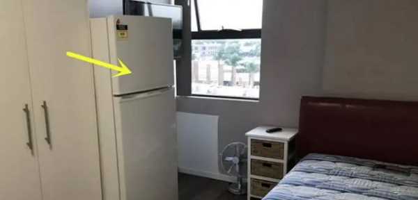 冰箱辐射大睡在旁边有影响,猫睡在冰箱旁边有辐射吗图1