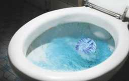 放马桶里面的蓝色的清洁球叫什么,马桶冲水时放的兰球球是啥东西图1
