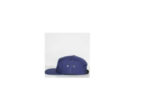 带蓝帽和不戴蓝帽的区别,带蓝帽和不戴蓝帽的区别是什么意思图1