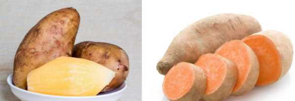 雪莲果和红薯一样,雪莲果与红薯的区别图1