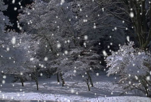 关于描写冬天下雪的诗句