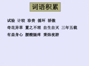 我从老舍养花的我们体会到