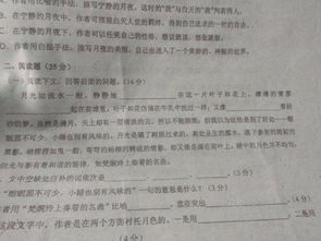 养花这篇阅读答案课文