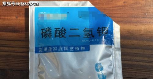 复合肥养花使用方法