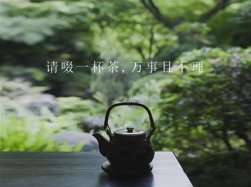 独品清茶细听雨淡笑尘世静养花