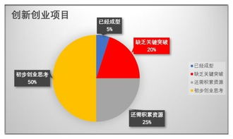 大学生创新创业的案例,创新创业成功的案例,创新创业ppt案例