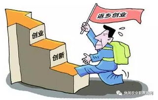 返乡下乡创业创新总结