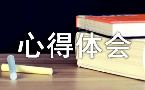 创业创新实训报告心得体会