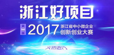 首届中小微创新创业大赛有感