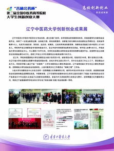 大学创新创业成就展示