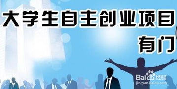 作为大学生有哪些好的创新创业项目