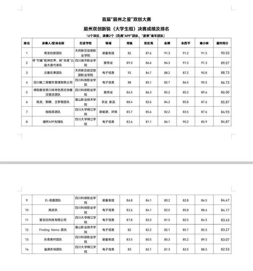 创新创业大赛专家打分表