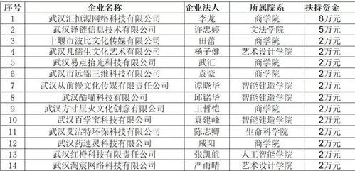 孵化,支出,资金,创新