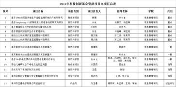 大学生创新创业项目计划,创新创业项目计划申报书,大学生创新创业项目计划申请书