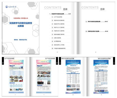 创新创业实践活动手册,大学生创新创业实践活动,创新与创业实践活动心得