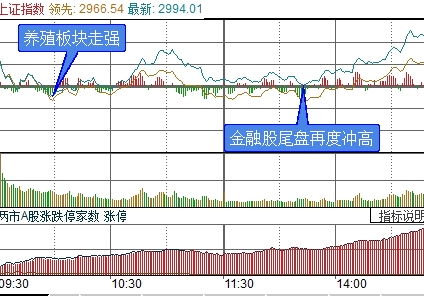 创业板创新哪些龙头股票代码