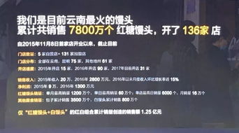 创新创业大赛项目策划书模板,大学生创新创业大赛项目策划书,互联网+创新创业大赛项目策划书