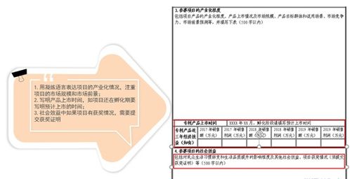 创新型专利申请,不以保护创新为目的的专利申请,专利申请创新性