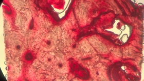 立项,证明,创新,创业