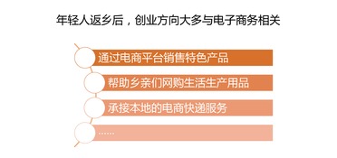 个人电商创业分析报告,电商创业形势分析报告,个人电商创业分析报告800字