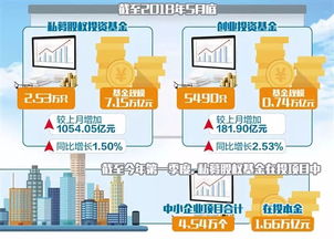 创新创业资本结构怎么写,创新创业资本结构表,大学生创新创业资本结构