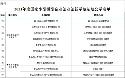 创业创新基地支出明细