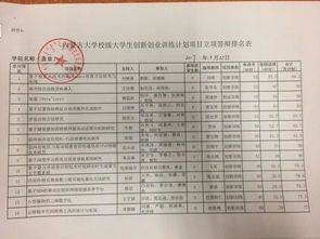 计算机创新创业项目计划书怎么写,计算机大学生创新创业项目计划书,大学生创新创业项目计划书