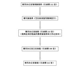 创新创业项目流程大学生