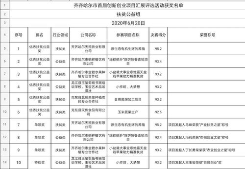 创业项目,题目,创新,报告