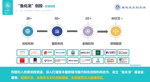 创业项目,概况,包括,创新