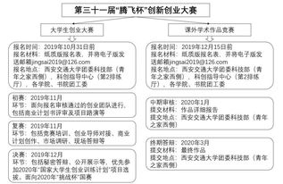 创新创业实验性计划项目