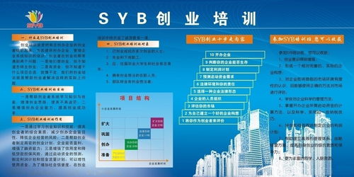 指导,创新,创业,syb