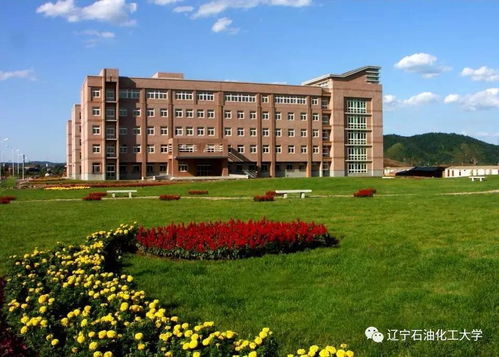 辽宁石油化工大学创新创业学院