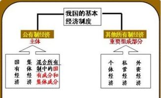 创意,举例说明,区别,创新