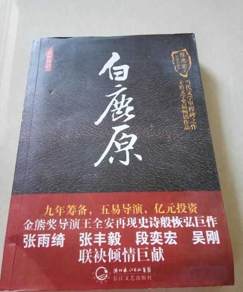 白鹿原讲述了一个什么样的故事