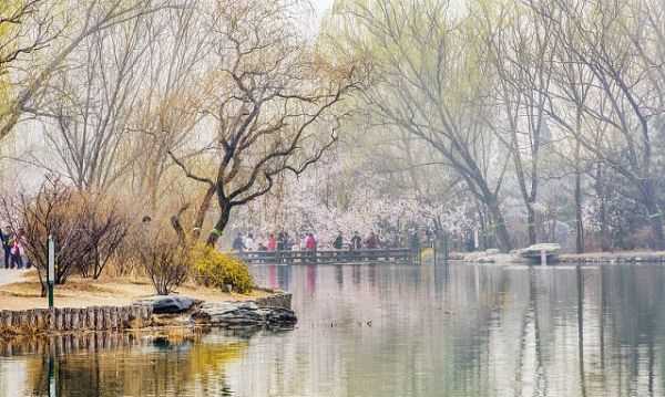 伏羲洞的由来,酉阳桃花源的太古洞就是伏羲洞吗图3