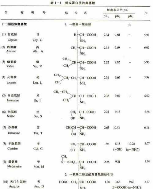 不带氨基的氨基酸是