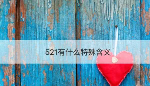 52的真正含义,51代表什么爱情含义图3