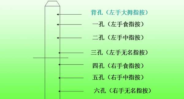 竖笛指法八孔指法图,八孔竖笛指法表怎么看图3