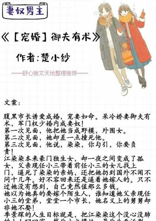 实力宠妻什么意思