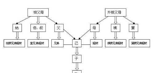 亲姐弟属于直系亲属吗