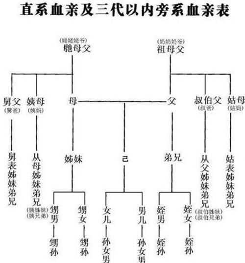 姐弟算直系亲属关系吗