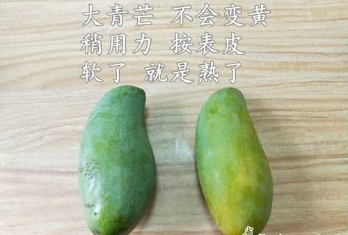 青芒果怎么保存可以放得更久一些