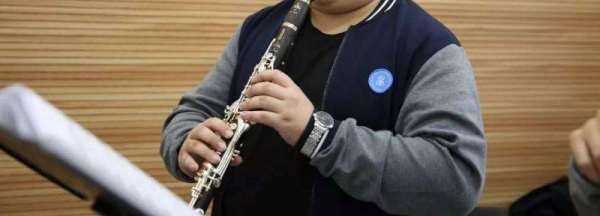 clarinet是什么乐器,clarinet是什么乐器 乐器clarinet的介绍图1