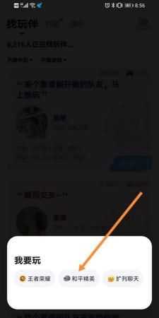 tt语音公演是什么意思